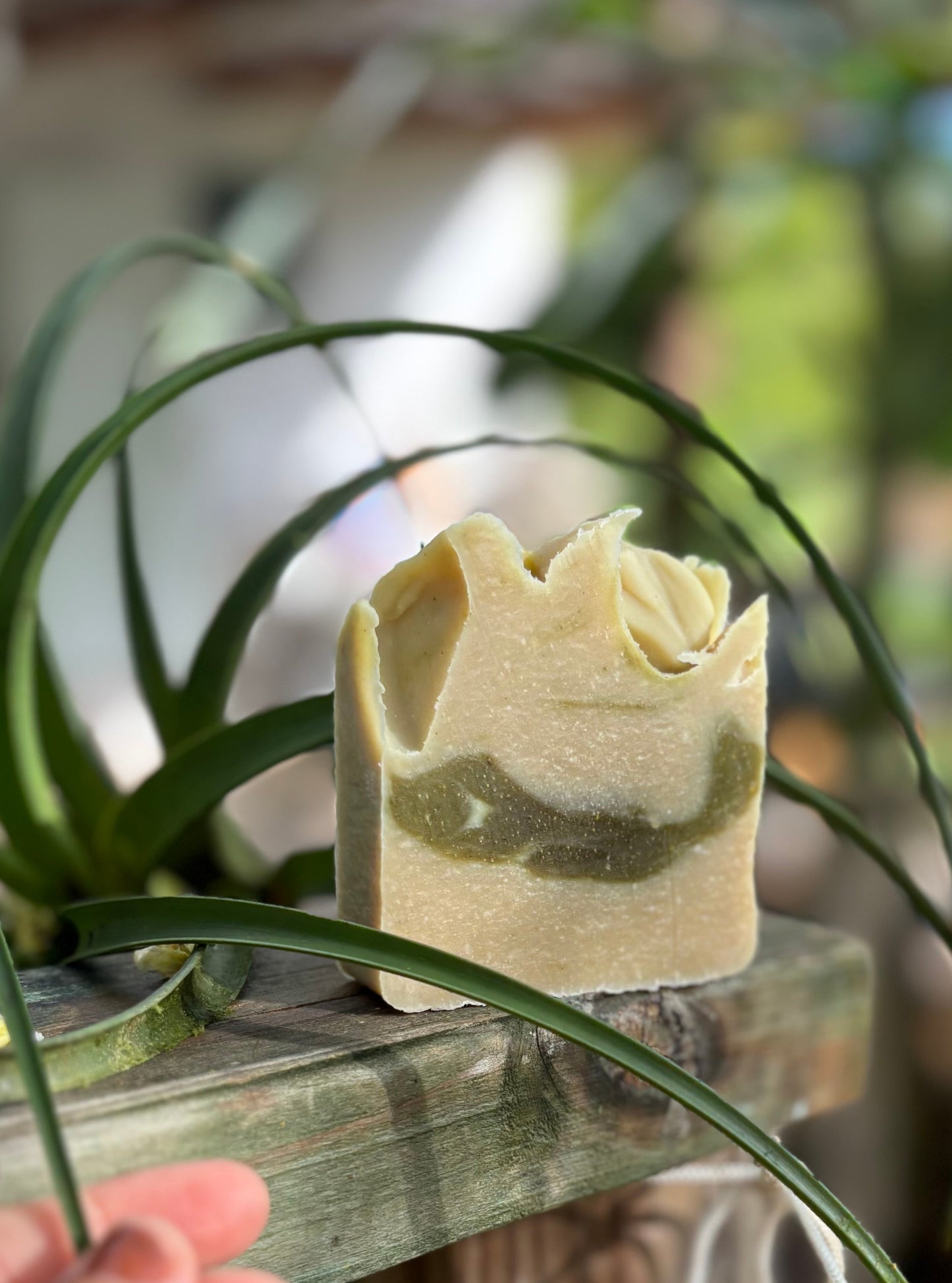 Guarapo de Caña + Moringa + Patchouli