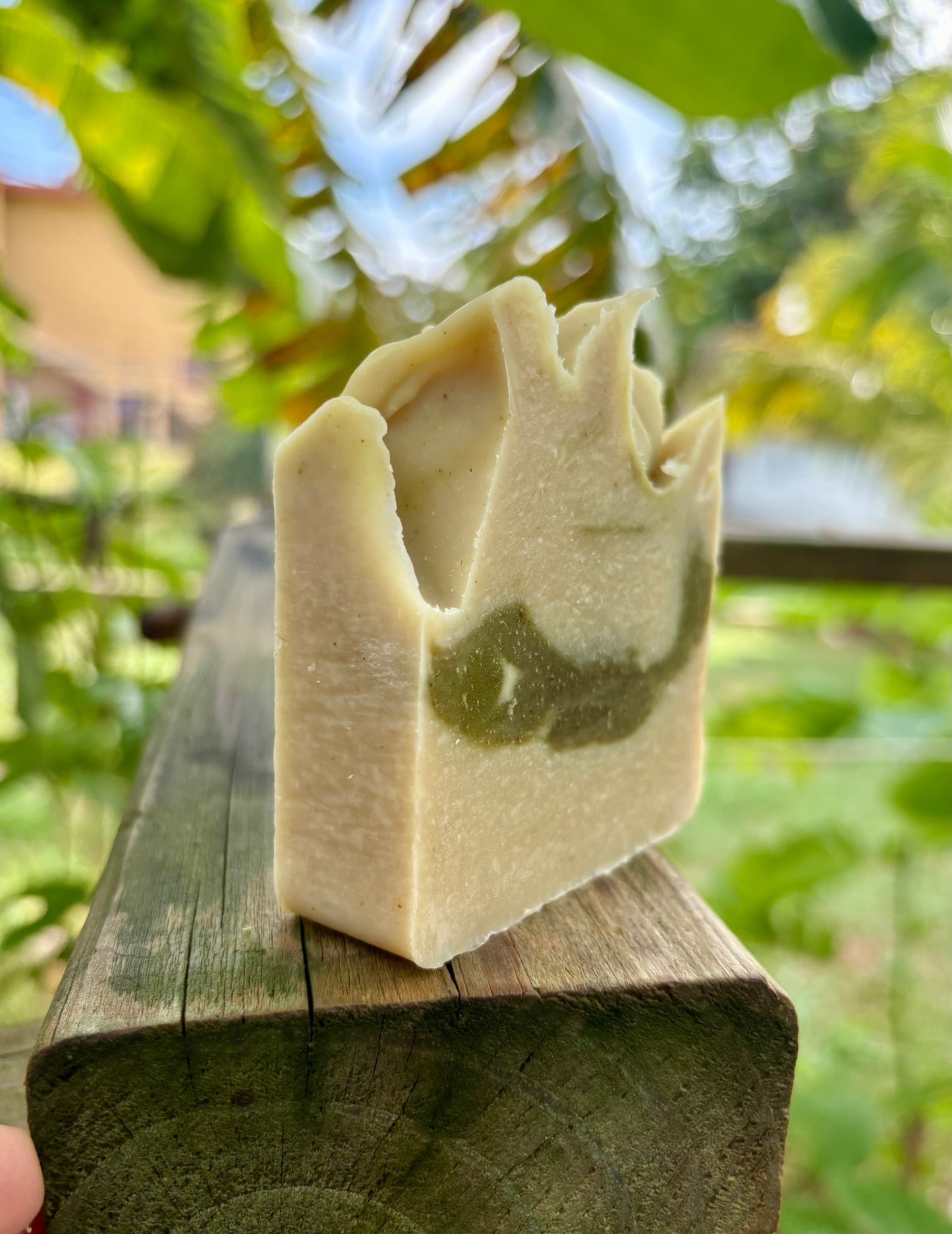 Guarapo de Caña + Moringa + Patchouli